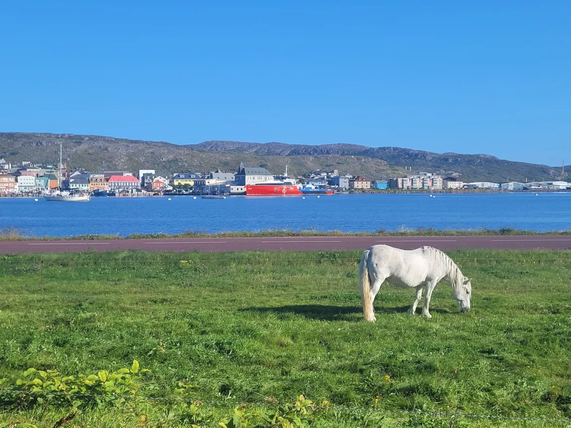 Hike in France off the Coast of Newfoundland