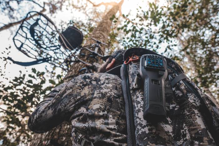 Factors Influencing Deer's Response